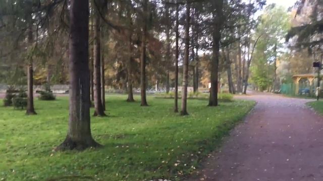 Иду на работу, любуясь окружающим пространством... Гатчинский парк. 09.10.2017, 07:57 смотреть онлайн