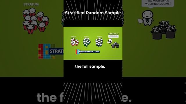 Stratified random sample | Sampling | Statistics |The Statisticians смотреть онлайн