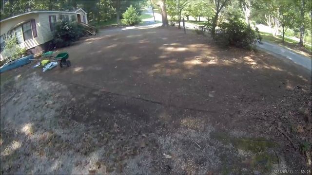 Solar Green grass seed review Part 1 yard prep смотреть онлайн