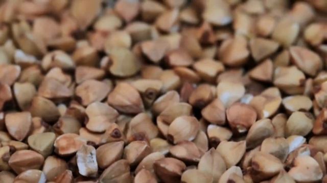 Oxford Discover 3 | Big Question 8 | Why do we need plants? | Wrap Up смотреть онлайн