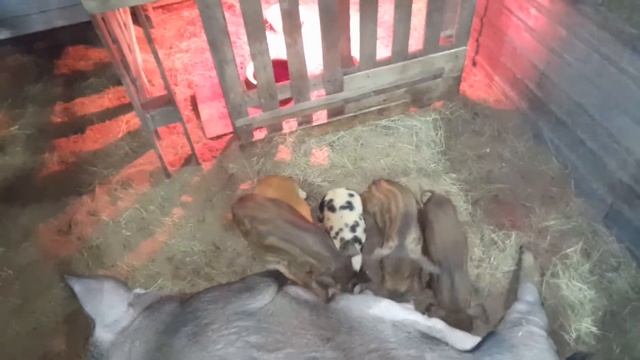 без потерь никак... смотреть онлайн
