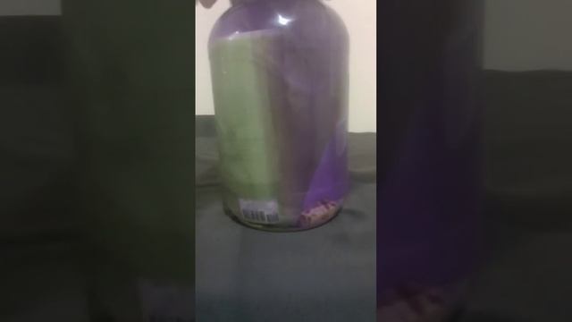Putting a Bible in Acetone for a week смотреть онлайн