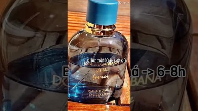 D&G Light Blue Forever Man 🌊 смотреть онлайн