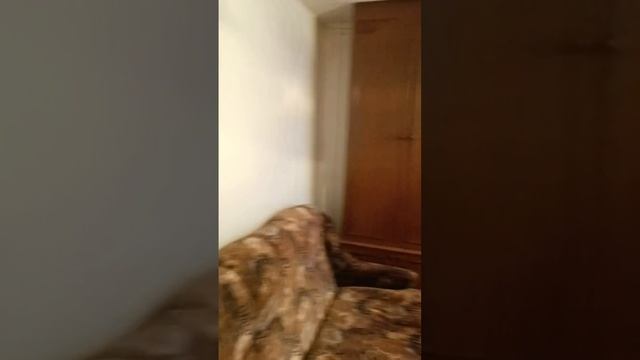 дом продаётся смотреть онлайн