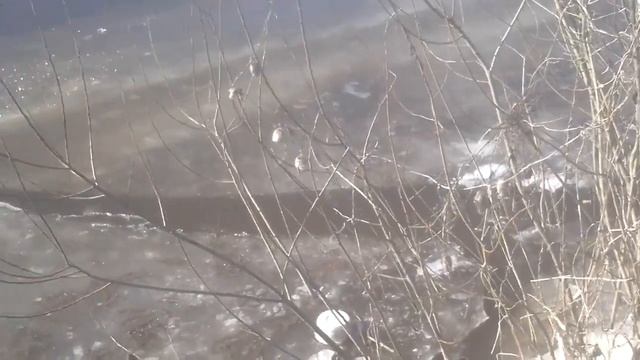 Прикол с сольдом на речьке смотреть онлайн