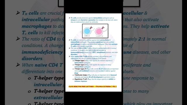 T cells || Immunology complete notes by VEX #cuetpg2023 #biology #immunesystem смотреть онлайн