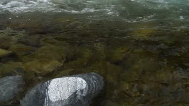 Реки Воды Живой смотреть онлайн