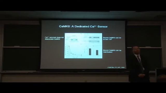 CBAC Seminar - Geoffrey S. Pitt, M.D., Ph.D., January 9, 2006 смотреть онлайн