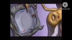 domestos animatic english version 1