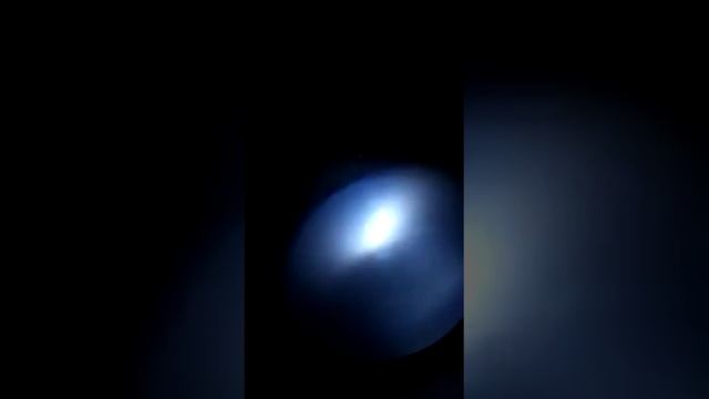 Рачки (микроскоп) #14 смотреть онлайн