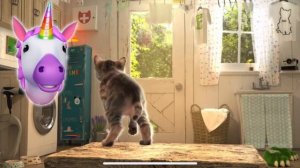 ПРИКЛЮЧЕНИЕ МАЛЕНЬКОГО КОТЕНКА мультфильм про котят Радугарог мультик для детей мультики на #ММ