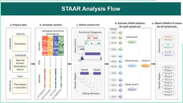 Xihong Lin: Scalable Analysis of Biobanks and Multi-Ethnic Whole Genome Sequencing Analysis Studies смотреть онлайн
