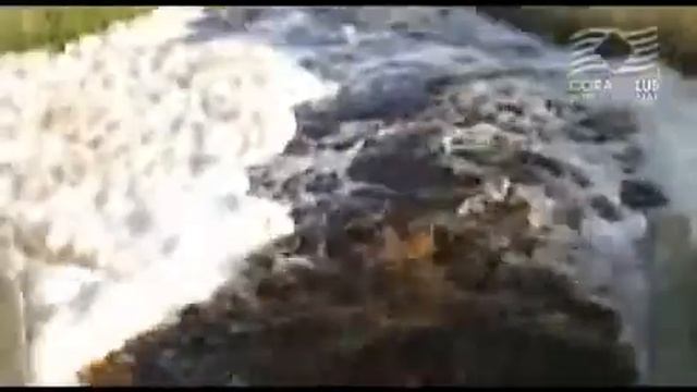 Coral-Mine смотреть онлайн