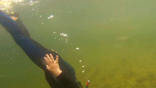 Будущий подводный охотник смотреть онлайн