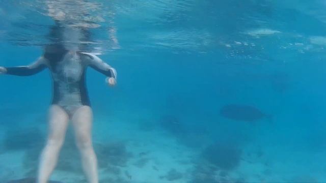 Aitutaki, Cook Islands - Around the World Part 7 - Travel Log 2019 смотреть онлайн