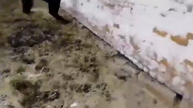 - Ромео, меня заперли. - Тогда приду к тебе через окно... О, нет... смотреть онлайн