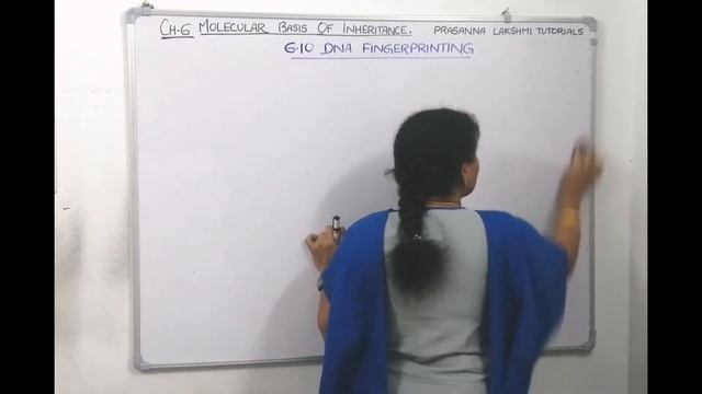 MOLECULAR BASIS OF INHERITANCE lecture#27 смотреть онлайн