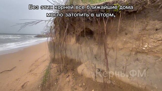 Природа в Керчи открыла выставку для строителей и проектировщиков берегоукрепительных сооружений смотреть онлайн