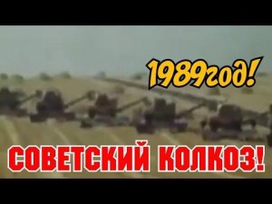 1980г! ХРОНИКА СССР ! ЧТО ТАКОЕ СОВЕТСКИЙ КОЛХОЗ!!