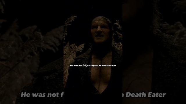 Did you know this in Harry Potter? смотреть онлайн
