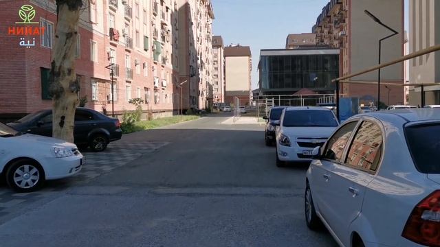 ЗЕЛЕНЫЙ ТАШКЕНТ 🏡 смотреть онлайн