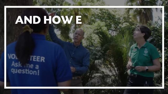 Guided walks at the Royal Botanic Garden Sydney смотреть онлайн