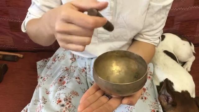 Тибетская поющая чаша (vy) смотреть онлайн