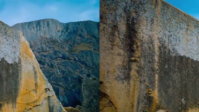Про лемуров IMAX смотреть онлайн