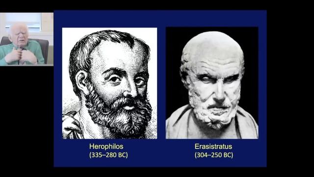 Yasargil Krisht webinar AVMs 2020 смотреть онлайн