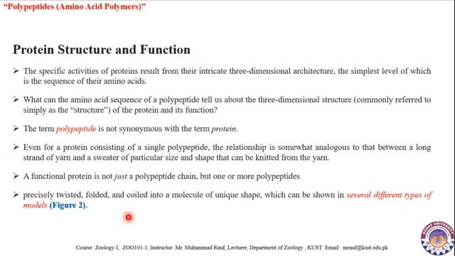 Course: Principle in Animal Life- I. Lecture 29: Polypeptides Amino Acid Polymers смотреть онлайн