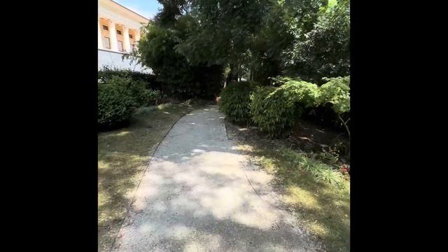 Прогулка в парке Сочи #travel #travelvlog #сочи смотреть онлайн