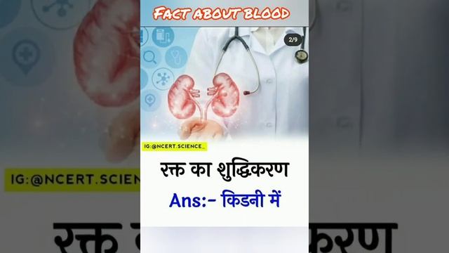 fact about blood #realfacts #please like and subscribe my channel i need 👍👍👍 смотреть онлайн