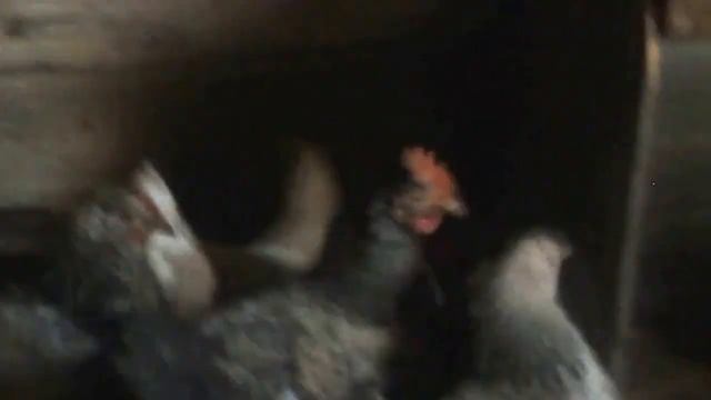 Новости канала Амин Шакиров ЧАСТЬ 2 смотреть онлайн