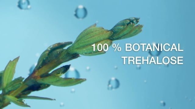 NEW Neutrogena® Hydro Boost for long lasting hydration смотреть онлайн