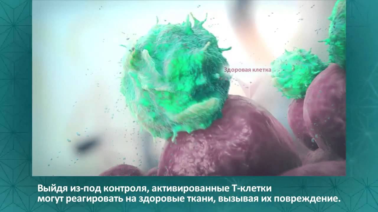 CTLA_Rus - Локализованный ролик смотреть онлайн