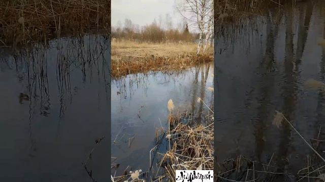 Нерест-щука. смотреть онлайн