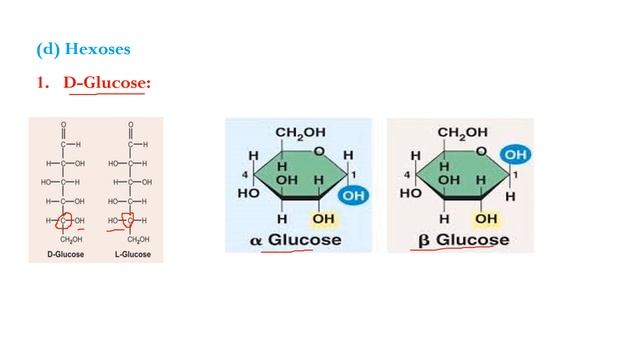 Biochemistry: Monosaccharides and Disaccharides смотреть онлайн