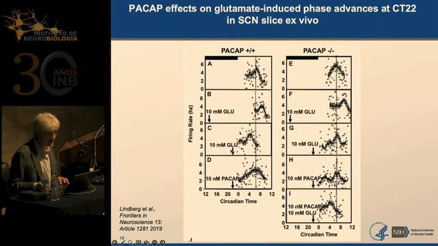 How classical neurotransmitters and neuropeptides collaborate at the synapse ... смотреть онлайн