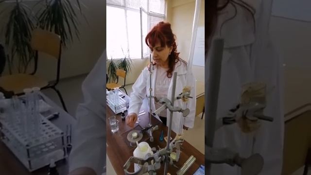 Лабораторно упражнение сяра и сярна киселина смотреть онлайн
