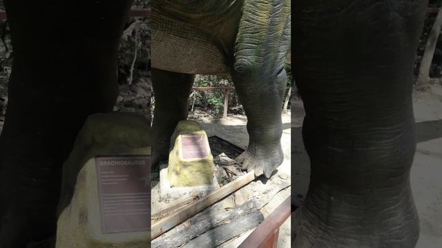 тут упал метеорит / каменный лес в эквадоре уникальное место / велопутешествие по латинской америке смотреть онлайн