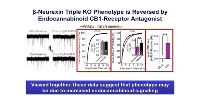 The Neurexin Enigma: Towards understanding synapse formation and neuropsychiatric disorders смотреть онлайн