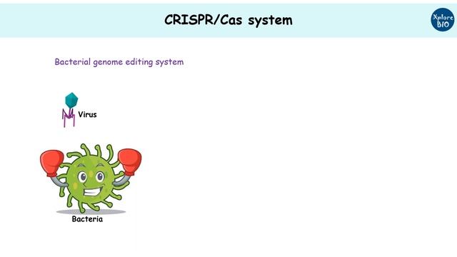 IS CRISPR transgenic? смотреть онлайн