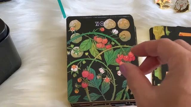Botanica tarot + Review смотреть онлайн