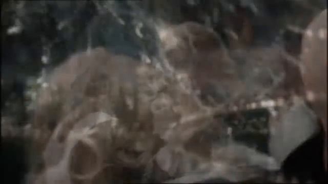 Chanel № 5 смотреть онлайн