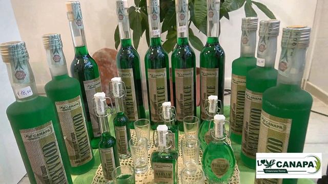 Love canapa Benessere & salute ..Chianciano Terme. 2024 смотреть онлайн