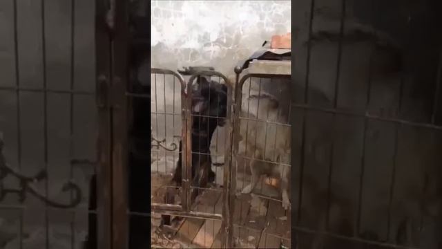 Корпорация Юмора - Клип Корпорация Юмора смотреть онлайн