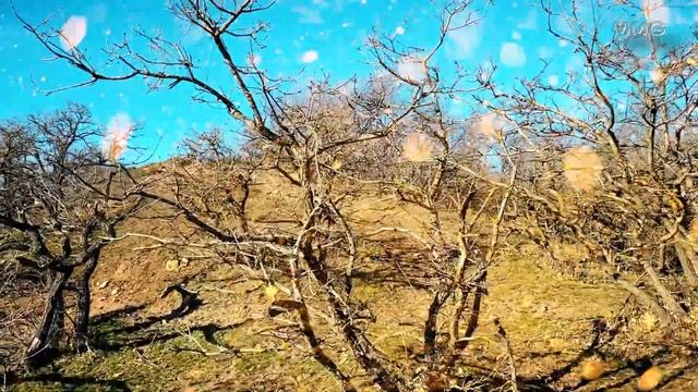 Релах Расслабляющая природа и фауна - Relax Relaxing nature and fauna смотреть онлайн