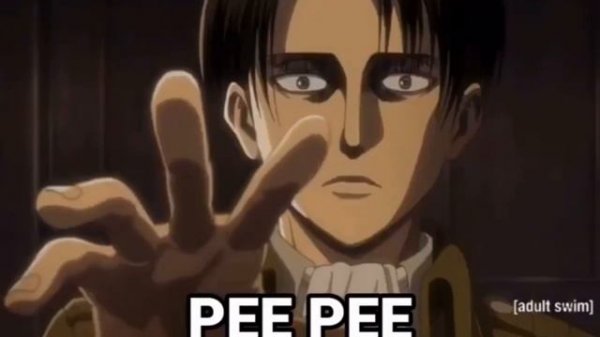 Oi Oi Oi Oi Erwin PP Pee Pee- 1:00:00 Hour