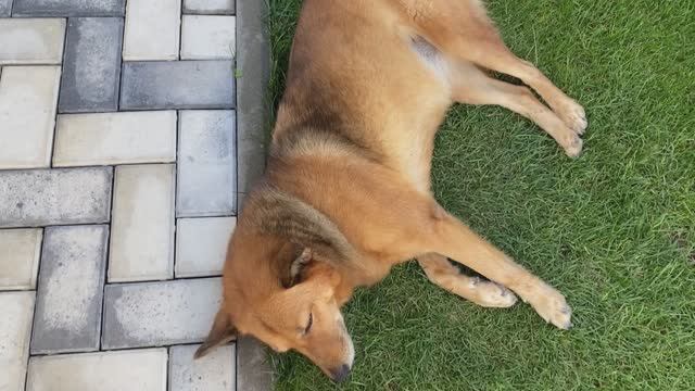 Навожу порядок дома с самого утра смотреть онлайн