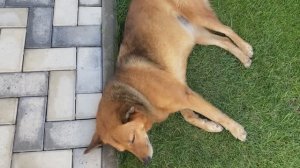 Навожу порядок дома с самого утра